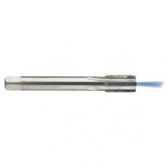 M12 x 1.75 Dia. - 6H - 4 FL - Carbide Semi-Bott Tap - Bright Finish-Coolant-Thru-FORM-C - Industrial Tool & Supply