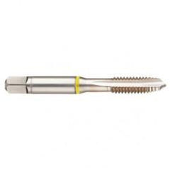 42433 2B 4-Flute Cobalt Yellow Ring Spiral Point Plug Tap-Bright - Industrial Tool & Supply