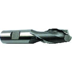 3/4" Dia. - 6-1/4" OAL - HSS - Center Cut SE EM - 2 FL - Industrial Tool & Supply