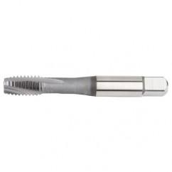 GT925146 M10X1.25 D5 3FL RHSF 3-4PH - Industrial Tool & Supply