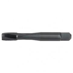 GT945004 NO. 6-32 H2 3FL RHSF BOTHS - Industrial Tool & Supply
