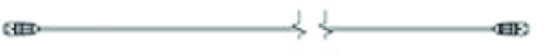 24V DC INPUT CABLE 50 FT/15.24M - Industrial Tool & Supply