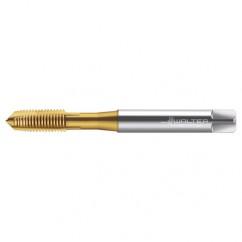 TC216-M8X1.25 6H WY80AA HS SPPT TAP - Industrial Tool & Supply