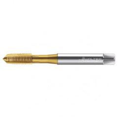 TC216-M8X1.25 6H WY80AA HS SPPT TAP - Industrial Tool & Supply