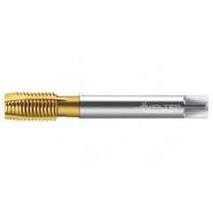 TC216-M14X2 6H WY80AA HS SP PT TAP - Industrial Tool & Supply