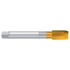 M16–6H REK.A-H/E TiN Straight Flute Tap - Industrial Tool & Supply