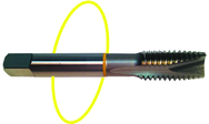 M22 x 1.5 Dia. - D6 - 3 FL - Std Spiral Point Tap - Yellow Ring - Industrial Tool & Supply