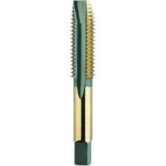3/4-10 S/P H3 3FL B/G - Industrial Tool & Supply