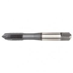 VTSPO5619 M5X0 8 D4 3FL SP PLUGHSS- - Industrial Tool & Supply